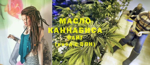 дмт Пересвет